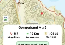 BMKG Pastikan Gempa Magnitudo 6,7 di Palu Tak Berpotensi Tsunami