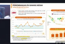 BPS: Harga Bawang Merah Naik Pekan Kedua Juni