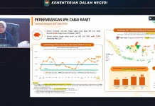 BPS: Harga Cabai Rawit Masih Tinggi Pekan Kedua Juni
