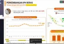 BPS: Harga Beras Stabil Tinggi di Pekan Kedua Juni