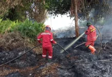 Karhutla di Riau Capai 15 Ribu Hektare