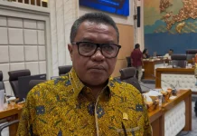 Legislator Ini Berharap Timnas Jerman  Juara di Piala Dunia 2026