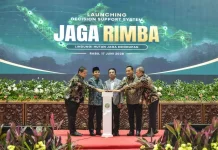 Cegah Tumpang Tindih Perizinan, Menteri Kehutanan Luncurkan DSS Jaga Rimba
