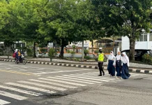 Zebra Cross Bukan Sekadar Marka, Ini Aturan dan Sanksinya