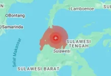 Simak Deretan Fakta Gempa M6,7 yang Guncang Sulawesi Tengah