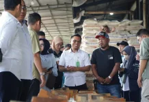 Bapanas: 7,7 Juta Ton Cadangan Beras Sudah Disalurkan ke Masyarakat
