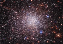 Hubble dan Webb Ungkap Terzan 5 di Pusat Bima Sakti Bukan Gugus Bintang Biasa