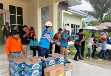 PLN Pastikan Pemulihan Listrik Pascagempa Sulteng Capai 100 Persen