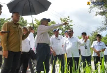 Menteri PU Tinjau Beberapa Infrastruktur Dasar Pascagempa di Sulawesi Tengah