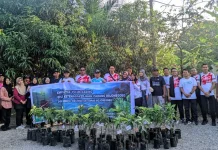 Peduli Lingkungan, BPJS Ketenagakerjaan Bojonegoro Gelar Aksi Tanam 60 Pohon Alpu