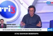 Pemerintah Optimalkan Pemanfaatan Cadangan Pangan demi Jaga Stabilitas