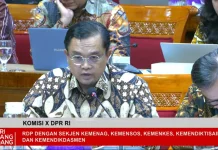 Kemendikdasmen Ungkap Perbedaan Sekolah Nasional Terintegrasi dan Reguler