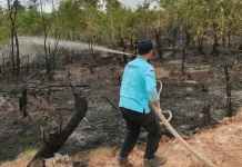 BNPB Minta Pemda Perketat Patroli Hadapi Kekeringan dan Karhutla