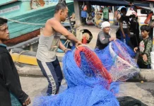 Hari Pelaut Sedunia 2026, Kemenhub Perkuat Perlindungan dan Daya Saing Pelaut RI