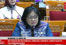 DPR Minta Pengembangan Program Pendidikan Tetap Perhatikan Kebutuhan Daerah 3T