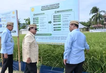 Presiden Prabowo Apresiasi Penerapan Teknologi Pertanian