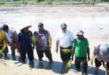 Kementerian Pertanian Percepat Cetak Sawah 2.000 Hektare di Papua Pegunungan