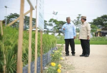 Presiden Tegaskan Swasembada Pangan Berkelanjutan, NTP Capai Rekor 34 Tahun