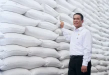 Bapanas: Stok Beras Aman Hadapi El Nino