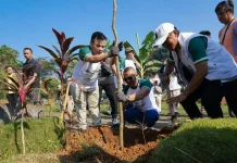 Hari Lingkungan Hidup 2026, DPRD Bogor Ajak Warga Perbanyak Tanam Pohon