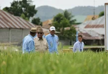 Presiden Prabowo Buka Ekspor Pangan Bersyarat, Asal Petani Tak Boleh Rugi