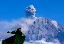 Semeru Erupsi Lima Kali, Letusan Tertinggi Capai 1,2 Kilometer