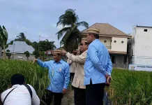 Presiden Prabowo Tinjau Teknologi Pertanian Modern di PENAS Petani-Nelayan