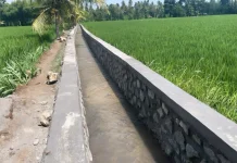 Kementerian PU Mulai Program P3-TGAI 2026 untuk Perkuat Irigasi Bali