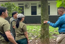 Gaharu Disebut Berpotensi Dongkrak Pendapatan Warga