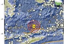 Gempa M5,6 Guncang Alor, BMKG Pastikan Tidak Berpotensi Tsunami
