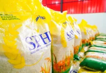 Bapanas Optimistis Stok Pangan Hadapi Kemarau