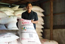 Kementan Pastikan Stok Pupuk Subsidi Aman Dukung Tingkatkan Beras Nasional