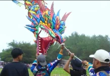 Festival Layang-Layang Nasional Dongkrak Wisata Purworejo