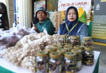 Menko Pangan: Ketahanan Pangan Dimulai dari Keluarga