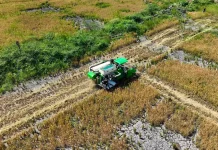 Cetak Sawah Rakyat Perkuat Kesejahteraan Petani Papua