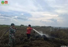 Manggala Agni Masih Tangani Dua Titik Karhutla di Riau