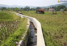 PU Perkuat Jaringan Irigasi Bogor Dukung Swasembada Pangan Nasional