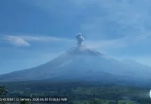 Gunung Semeru Erupsi, Kolom Abu Capai 900 Meter