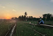 Tarif Listrik Triwulan III 2026 Dipastikan Tetap