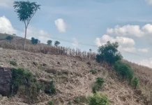 Kapan Puncak Kemarau 2026 di Indonesia? Ini Penjelasan Rinci BMKG