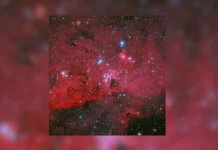 Hubble Abadikan Ribuan Bintang Muda Berkilau di Awan Gas Merah LH 95