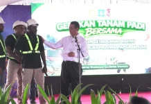 Pemerintah Tegaskan Program Cetak Sawah untuk Kesejahteraan Masyarakat Papua