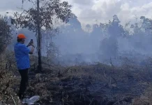 BPBD Kotim Percepat Penanganan Karhutla Dekat Bandara