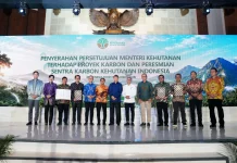 Karbon Hutan Mulai Diperdagangkan, Pemerintah Bidik Transaksi Rp5 Triliun