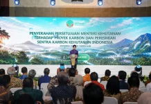 OJK Siapkan Skema Pembiayaan Investasi Karbon Kehutanan