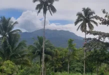 Badan Geologi Turunkan Status Gunung Awu Menjadi Waspada