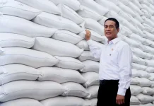 Stok Cadangan Beras Pemerintah Tembus 5,19 Juta Ton