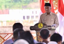 Lima Bendungan yang diresmikan Presiden, Tingkatkan Produksi Padi