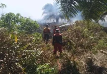 Karhutla Marak di Kotawaringin Barat, Delapan Hektare Lahan Hangus