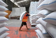 Pemerintah Pastikan Stok Pangan Nasional Aman Hadapi Musim Kemarau